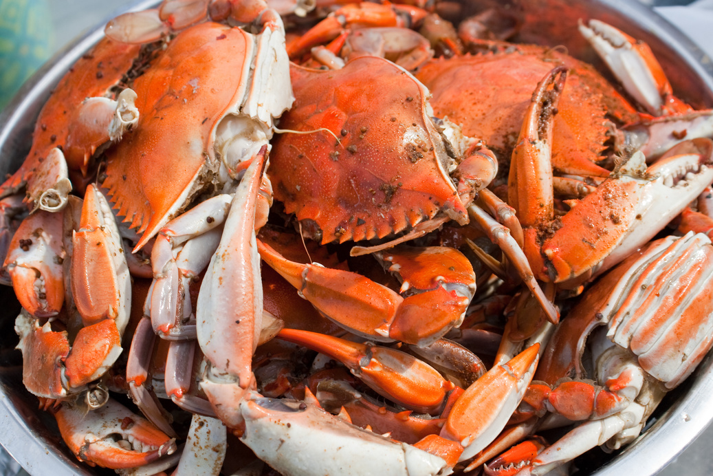 Maryland Blue Crab Boil